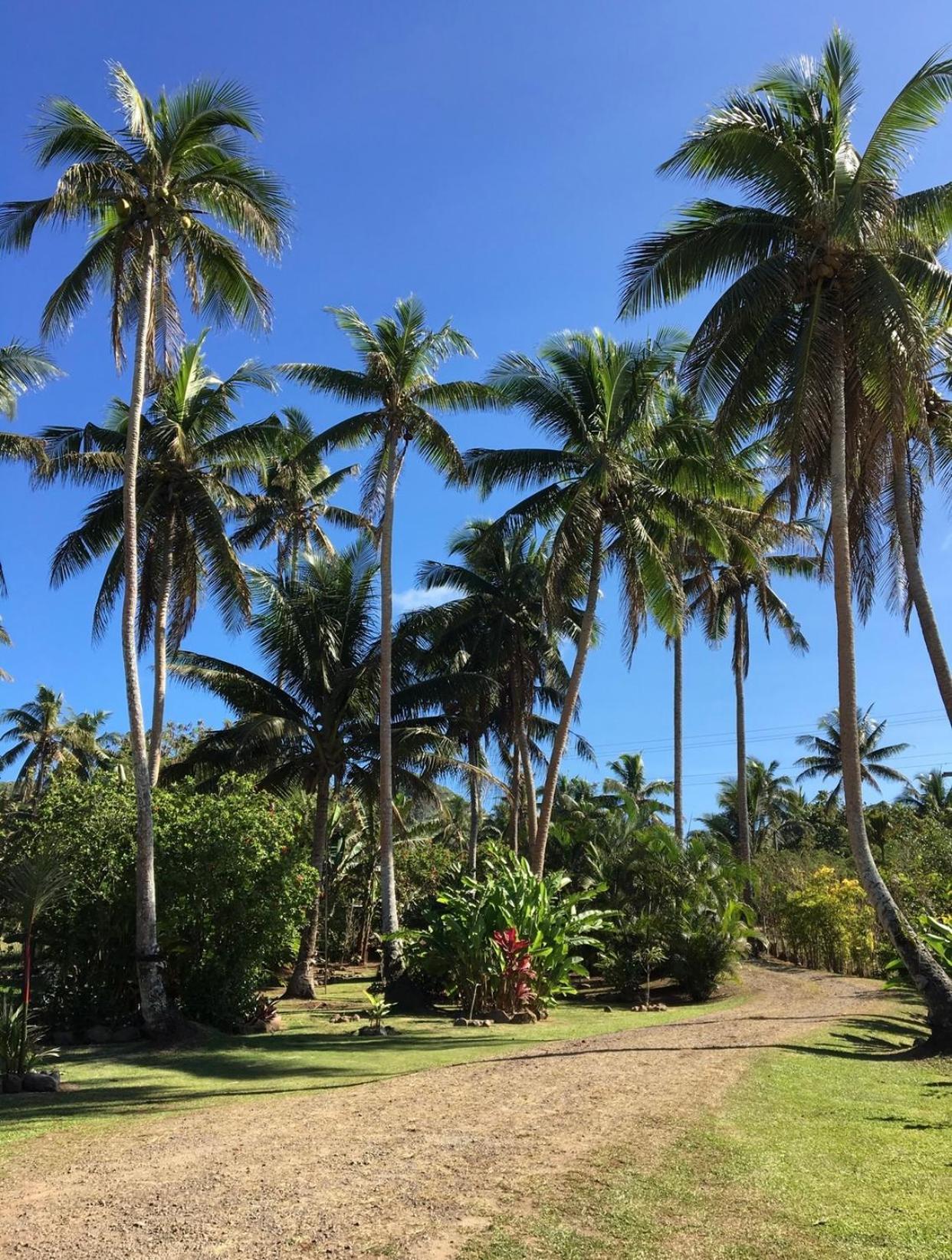 Island Breeze Fiji Vila Savusavu Quarto foto
